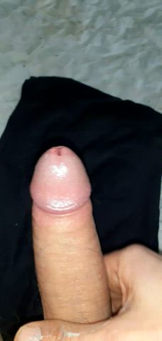 amateur cock cumshot homemade masturbating gif