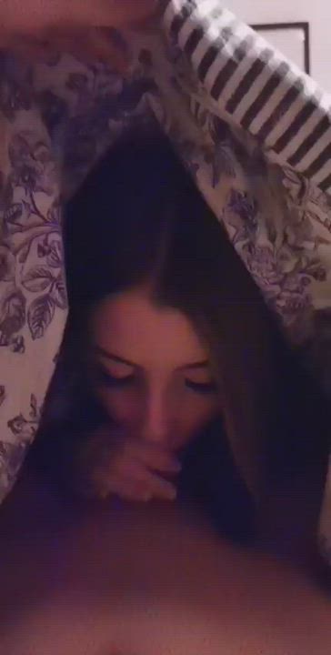 Amateur Bed Sex Blowjob gif
