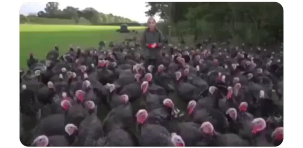 ass bite funny gif