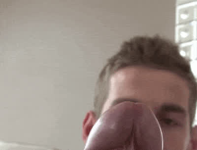 big dick big dicks cock erection gay hard hung male gif
