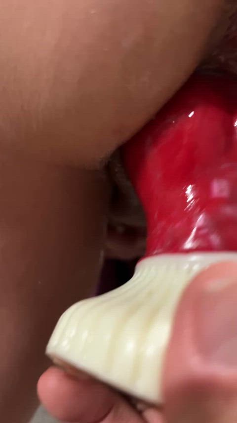 dildo huge dildo knot gif