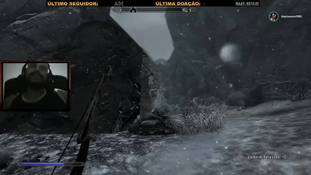 bugsthesda skyrim