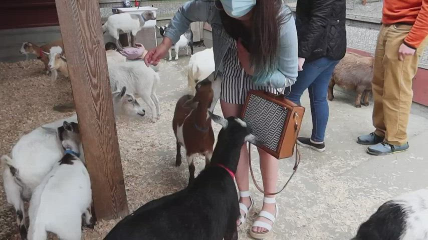 Dress Farm Girls gif