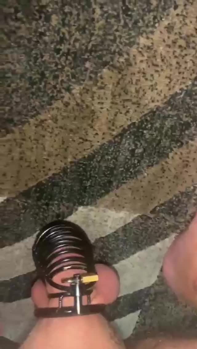 Minha esposa tendo a bucetinha rosa fodida enquanto estou preso no cinto de castidade