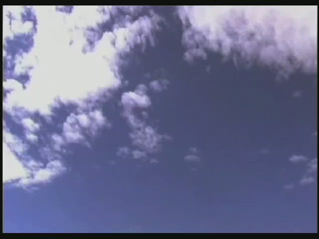 Tracy Ryan - Forbidden Highway (2001)