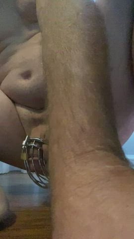 amateur anal cock cute gif