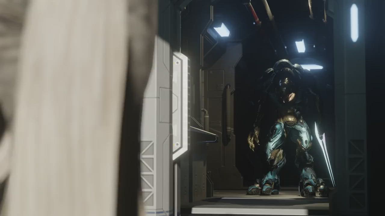 Rey Instant Loss to Sangheili (Zmsfm) [Star Wars &amp; Halo]