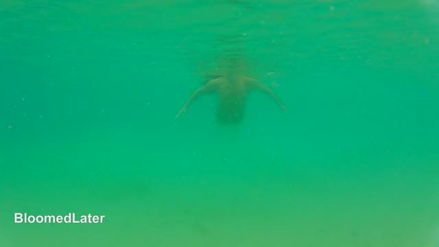 [F]elt this GIF should accompany today's mermaid post! 