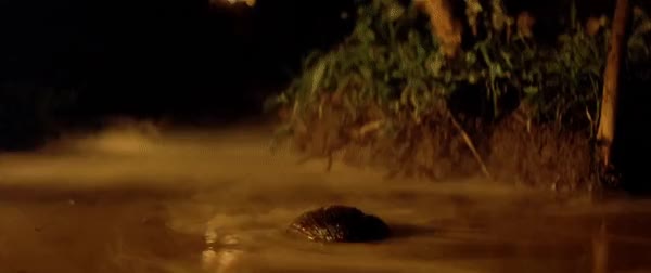 APOCALYPSE NOW 21