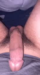 8in bull. Need a cuck to feed me till I cum. Kik: kdb2118 snap: kdb221188 tele: kdbtribz