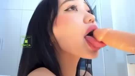 Asian Blowjob Toy gif