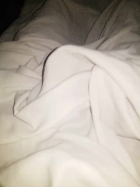 BWC Teasing gif