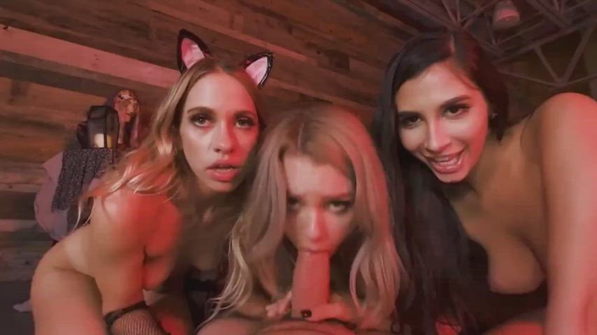 Big Dick Blowjob Eye Contact Foursome Handjob Kinky POV Sucking Porn GIF