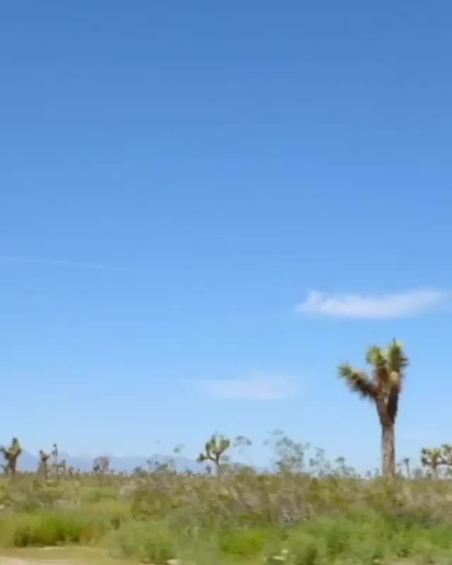 Cali love. I made a full length vid for @nirvana patreon.com/nirvanamagazine *uncensored*