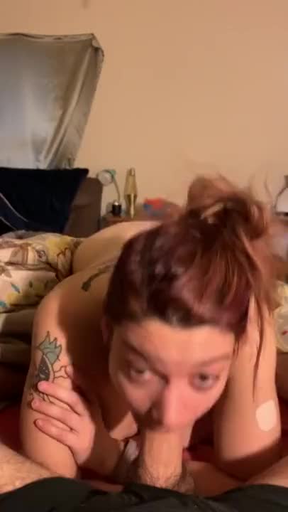 720P 1500K 244541211