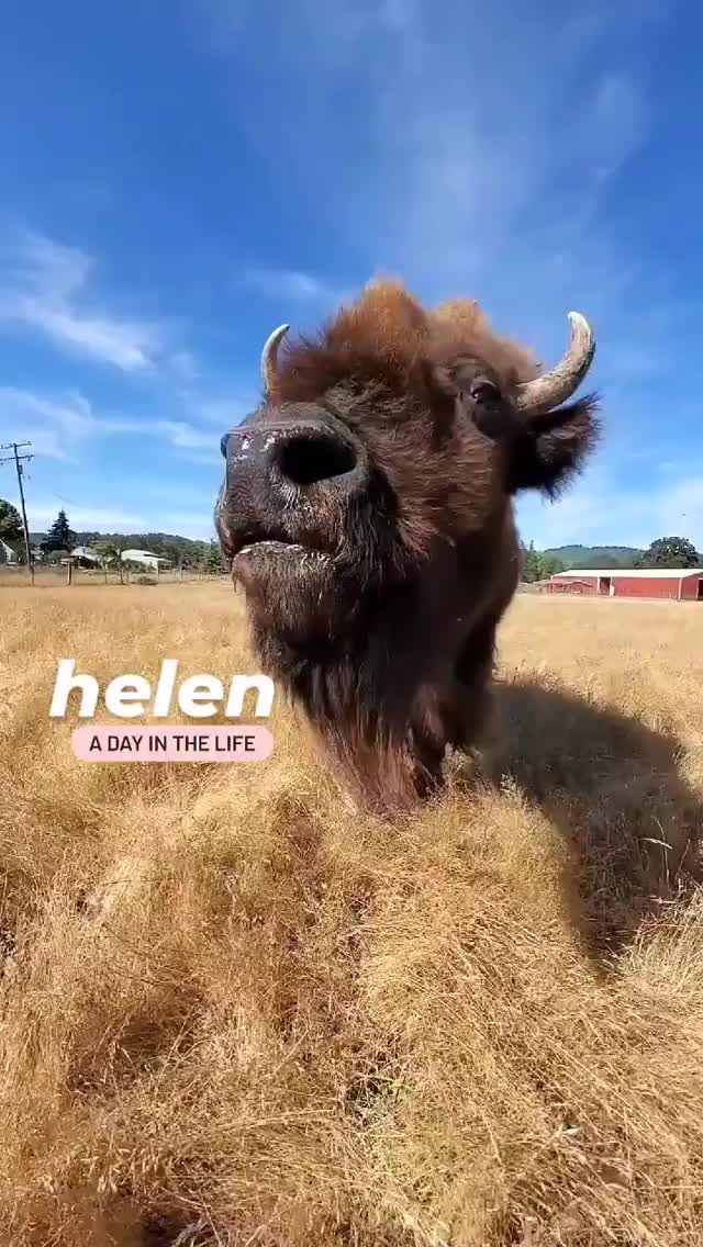 Helen at Lighthouse Farm Sanctuary