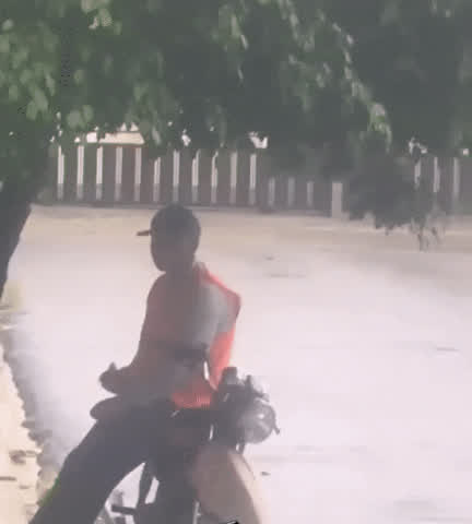 Amateur Outdoor Spy gif