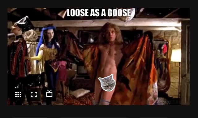 LOOSE AS A GOOSE