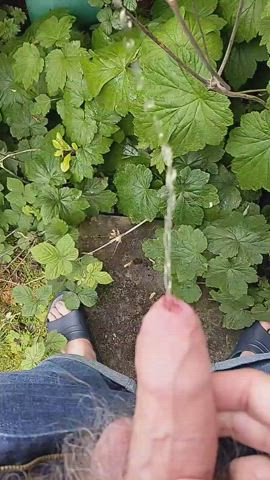 Watering the plants with a semi