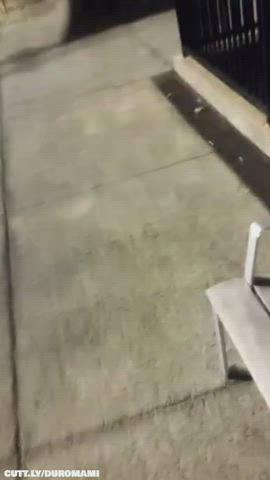 Amateur Big Dick Blowjob Deepthroat Public Real Couple Voyeur r/CaughtPublic gif