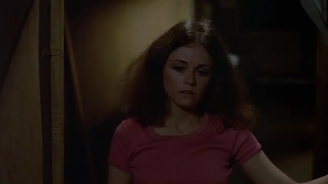 Friday-the-13th-1980-GIF-00-46-32-marcie-axe-shadow