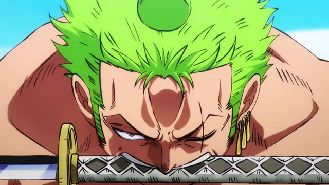 One Piece Roronoa Zoro