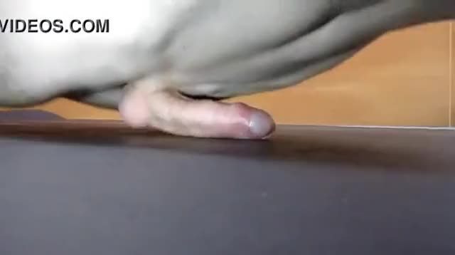Push-Ups Before Bedtime