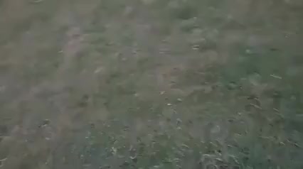 How to get an army