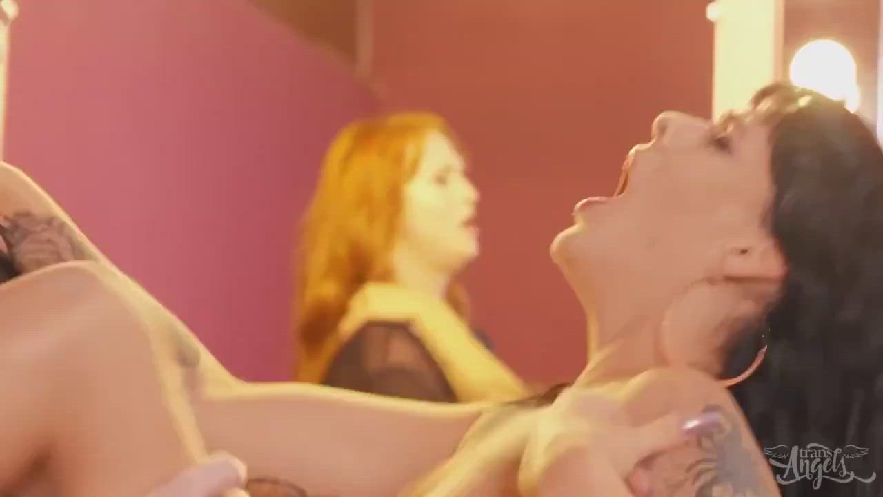 Amateur Pornstar Trans gif
