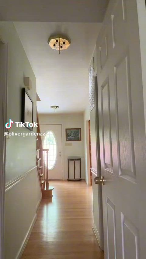 boobs flashing nipples nipslip tiktok r/tiktits gif