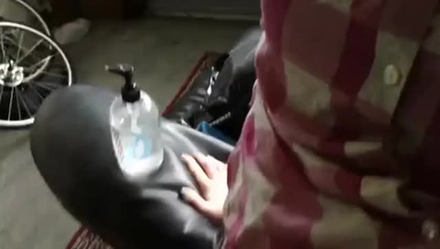 Trans gif