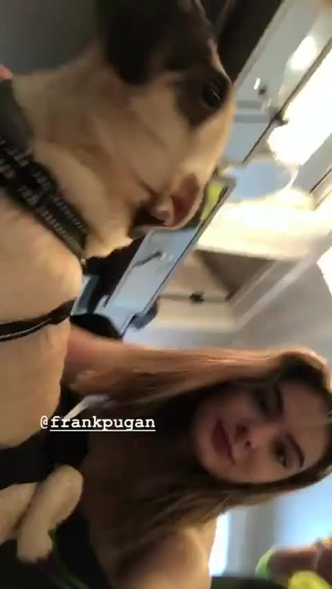 Brighton Sharbino