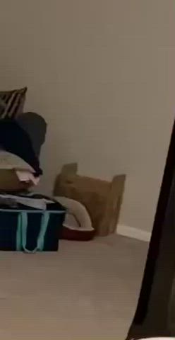 Ass, Tits and Bending Over. My, “Plus Size Hot Wife”, for you all to enjoy!!!!