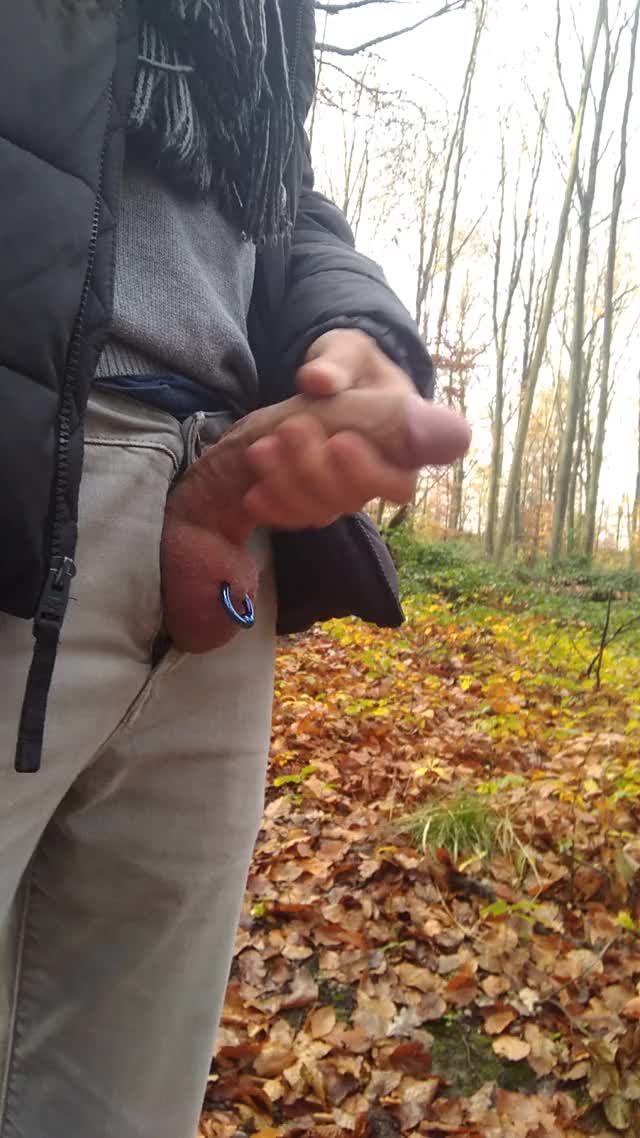 Pierced cock in the woods