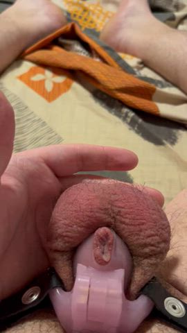 19 years old amateur bbc bbc slut cute nsfw sissy sissy slut wet pussy r/bbc_splitscreen