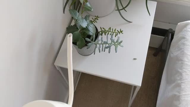 VID 20190907 123037