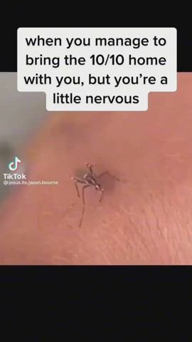 Hardcore Sex Softcore gif