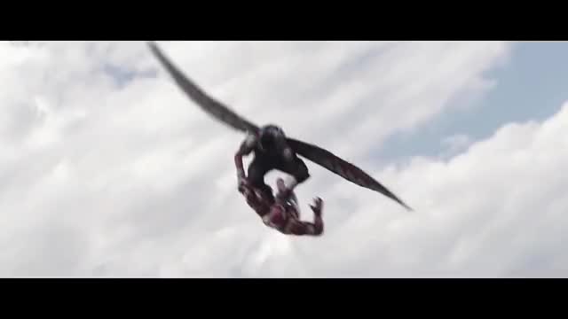 Falcon - Fight Moves & Flight Compilation HD