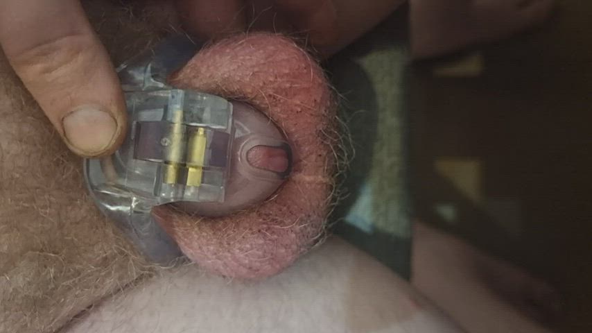 thank you to everyone that voted on my last post excited to start my permanent chastity