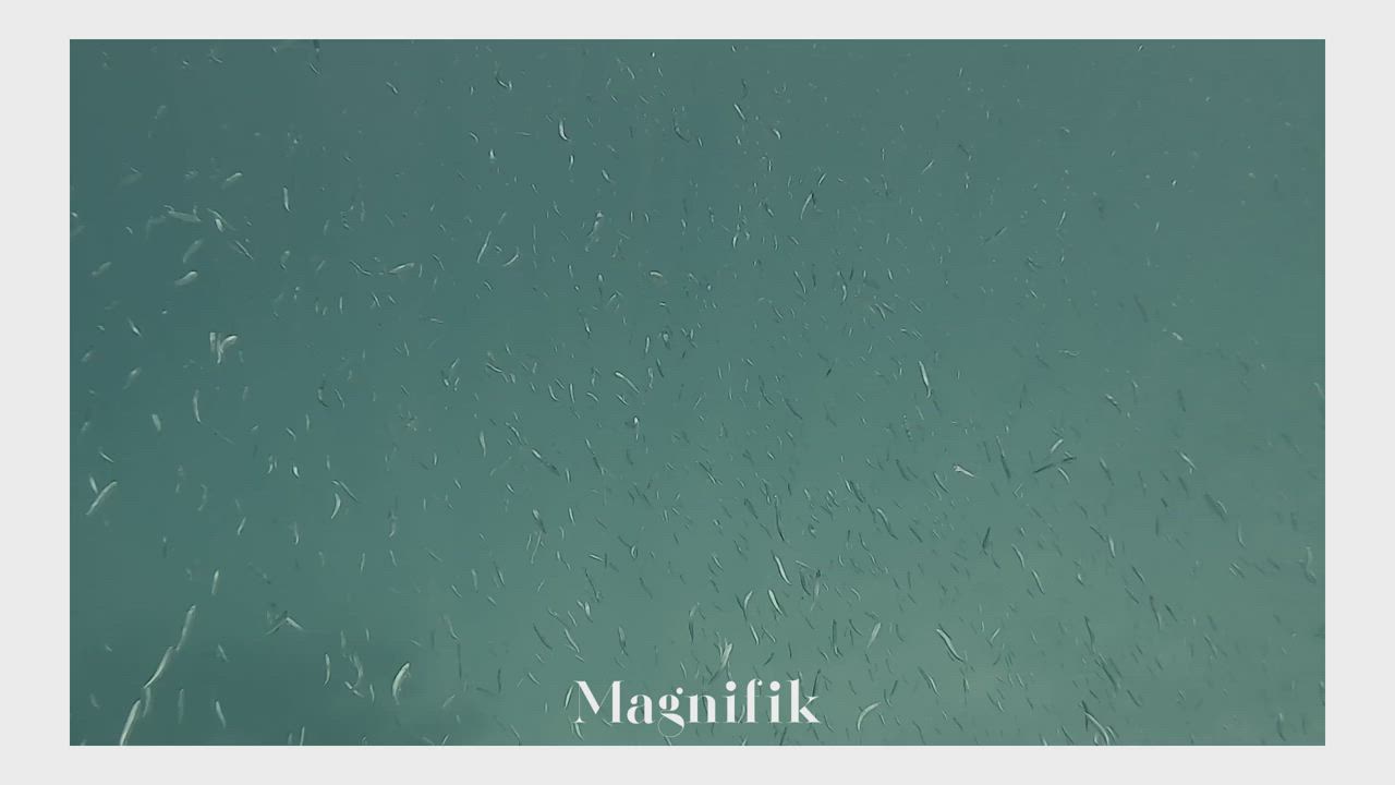 Danish Model Nudity gif