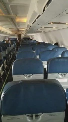 Airplane Big Tits Fake Tits Flashing Public Tits gif