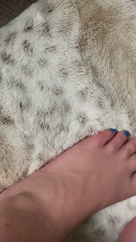 Do you wish you were the rug?