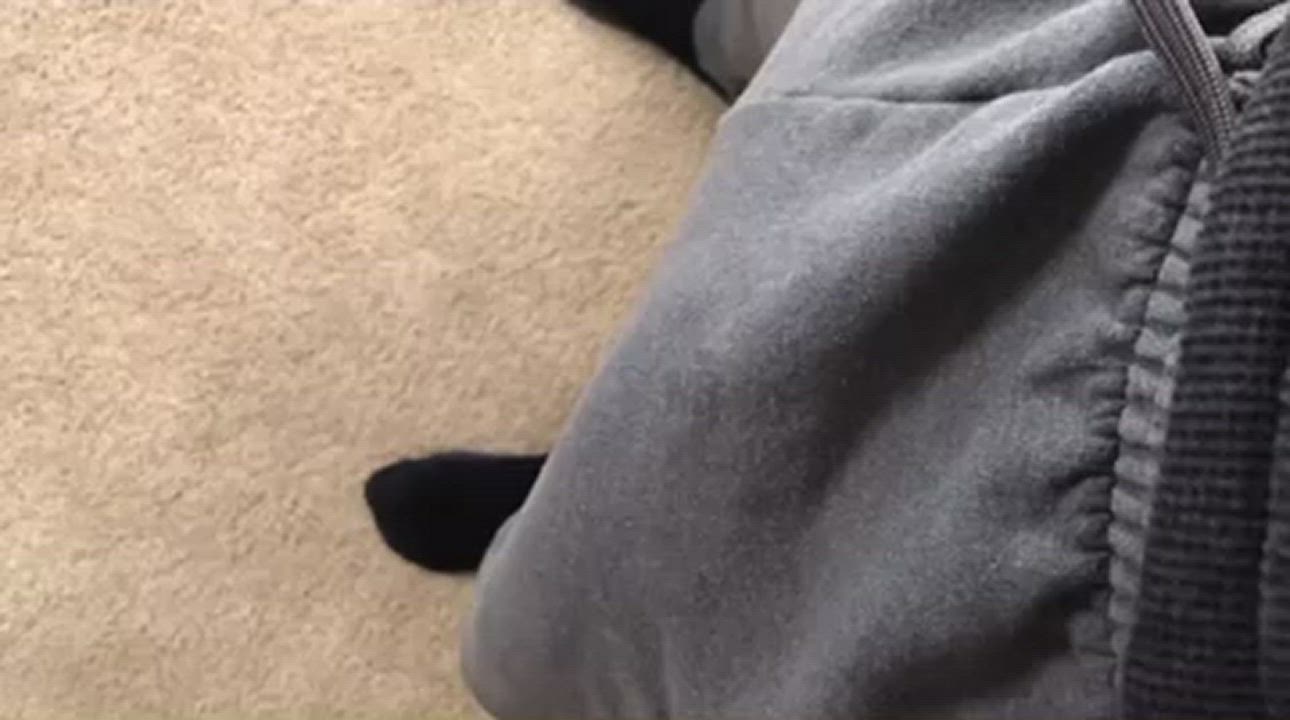 Would you say something if you saw me in public?