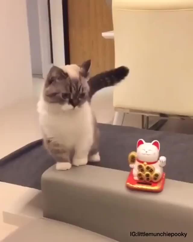 She's got a new friend