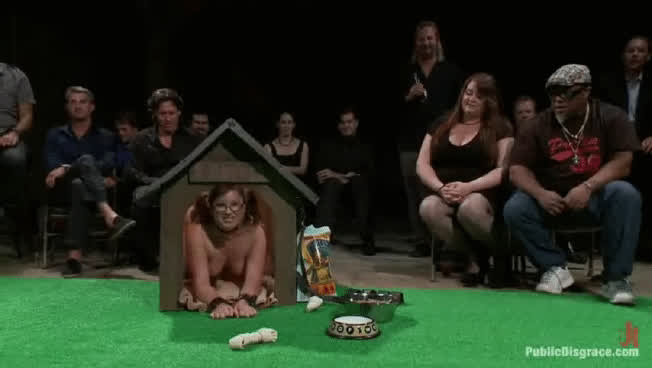 Look how happy is this cunt for being displayed as what she is, a dumb pet ready