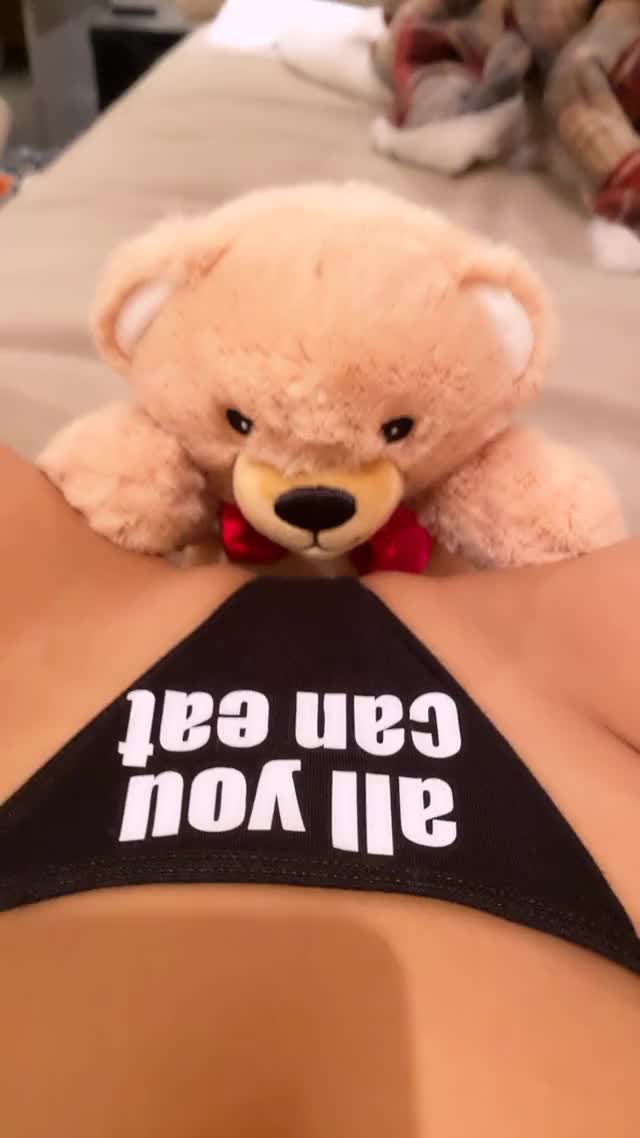 teddy bear