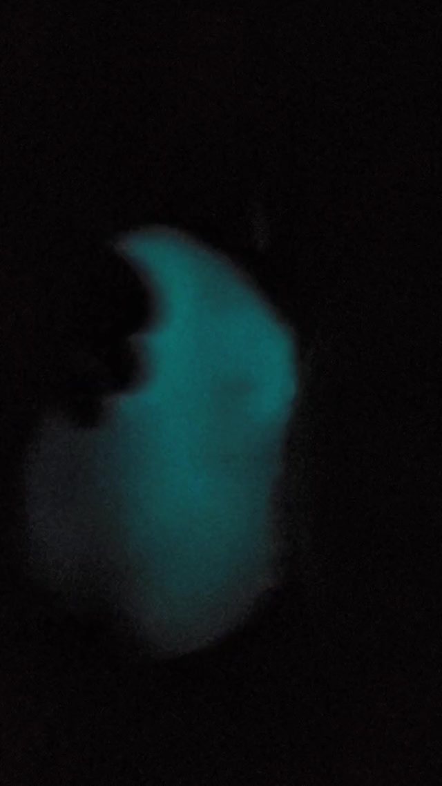 Baron in the dark