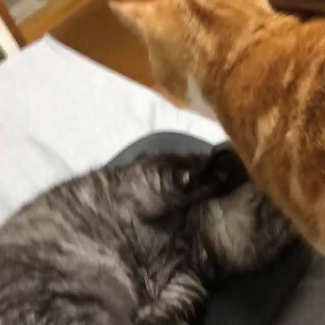 What did I just see?