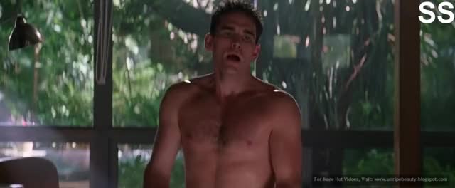 Denise Richards in Wild Things