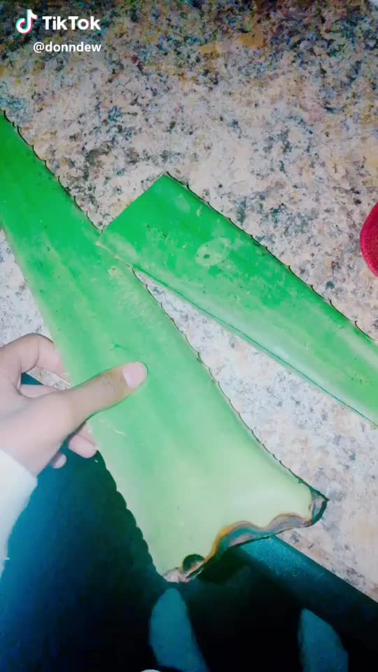 We love an asmr sister?? #foryoupage #foryou #aloevera #aloe #foodasmr #asmr #satisfing